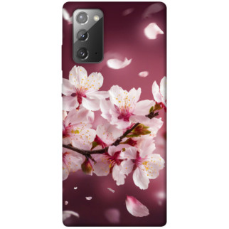 Чохол itsPrint Sakura для Samsung Galaxy Note 20 - Інтернет-магазин спільних покупок ToGether