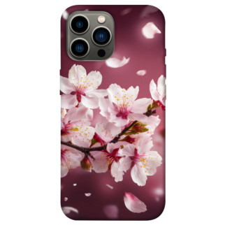 Чохол itsPrint Sakura для Apple iPhone 12 Pro Max (6.7") - Інтернет-магазин спільних покупок ToGether