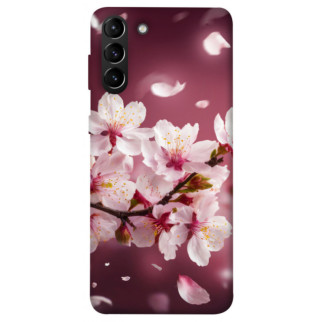 Чохол itsPrint Sakura для Samsung Galaxy S21+ - Інтернет-магазин спільних покупок ToGether