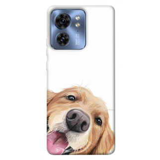 Чохол itsPrint Funny dog для Motorola Edge 40 - Інтернет-магазин спільних покупок ToGether