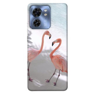 Чохол itsPrint Flamingos для Motorola Edge 40 - Інтернет-магазин спільних покупок ToGether