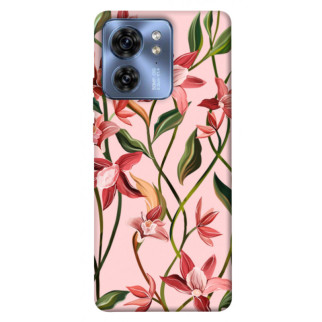 Чохол itsPrint Floral motifs для Motorola Edge 40 - Інтернет-магазин спільних покупок ToGether