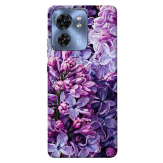 Чохол itsPrint Violet blossoms для Motorola Edge 40 - Інтернет-магазин спільних покупок ToGether