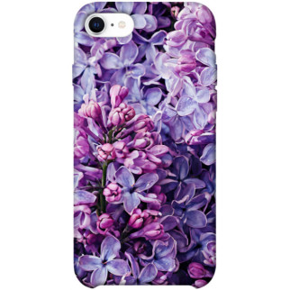 Чохол itsPrint Violet blossoms для Apple iPhone SE (2020) - Інтернет-магазин спільних покупок ToGether