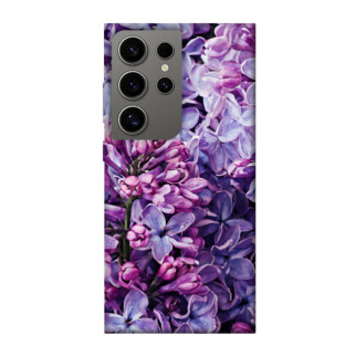 Чохол itsPrint Violet blossoms для Samsung Galaxy S24 Ultra - Інтернет-магазин спільних покупок ToGether