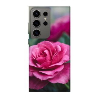 Чохол itsPrint Троянда у саду для Samsung Galaxy S24 Ultra - Інтернет-магазин спільних покупок ToGether