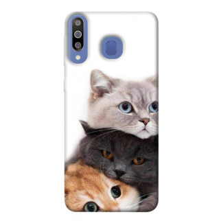 Чохол itsPrint Три коти для Samsung Galaxy M30 - Інтернет-магазин спільних покупок ToGether