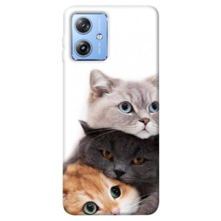 Чохол itsPrint Три коти для Motorola Moto G84 - Інтернет-магазин спільних покупок ToGether