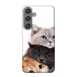 Чохол itsPrint Три коти для Samsung Galaxy S24+ - Інтернет-магазин спільних покупок ToGether