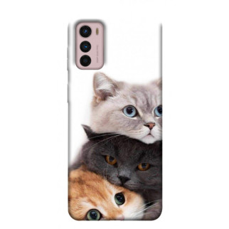 Чохол itsPrint Три коти для Motorola Moto G42 - Інтернет-магазин спільних покупок ToGether
