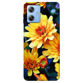 Чохол itsPrint Yellow petals для Motorola Moto G84 - Інтернет-магазин спільних покупок ToGether