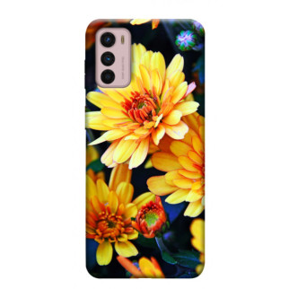 Чохол itsPrint Yellow petals для Motorola Moto G42 - Інтернет-магазин спільних покупок ToGether