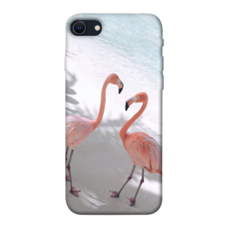 Чохол itsPrint Flamingos для Apple iPhone SE (2020) - Інтернет-магазин спільних покупок ToGether