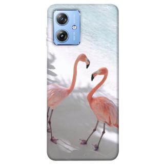 Чохол itsPrint Flamingos для Motorola Moto G84 - Інтернет-магазин спільних покупок ToGether