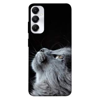 Чохол itsPrint Cute cat для Samsung Galaxy A05s - Інтернет-магазин спільних покупок ToGether