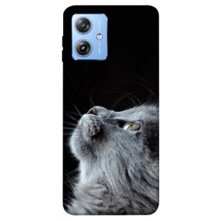 Чохол itsPrint Cute cat для Motorola Moto G84 - Інтернет-магазин спільних покупок ToGether