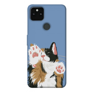 Чохол itsPrint Funny cat для Google Pixel 5A - Інтернет-магазин спільних покупок ToGether