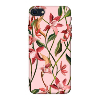 Чохол itsPrint Floral motifs для Apple iPhone SE (2020) - Інтернет-магазин спільних покупок ToGether