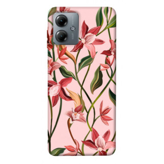 Чохол itsPrint Floral motifs для Motorola Moto G14 - Інтернет-магазин спільних покупок ToGether