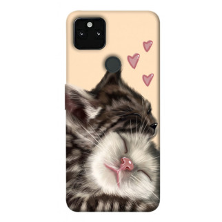 Чохол itsPrint Cats love для Google Pixel 5A - Інтернет-магазин спільних покупок ToGether