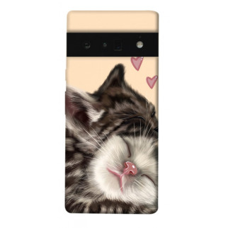Чохол itsPrint Cats love для Google Pixel 6 Pro - Інтернет-магазин спільних покупок ToGether