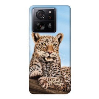 Чохол itsPrint Proud leopard для Xiaomi 13T - Інтернет-магазин спільних покупок ToGether