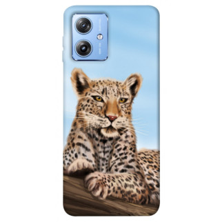 Чохол itsPrint Proud leopard для Motorola Moto G84 - Інтернет-магазин спільних покупок ToGether