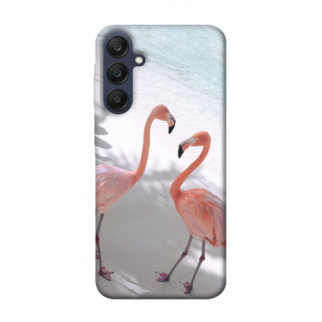 Чохол itsPrint Flamingos для Samsung Galaxy A25 5G - Інтернет-магазин спільних покупок ToGether