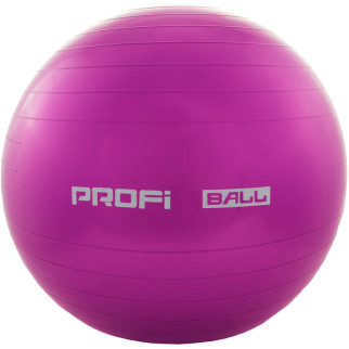 Фітбол м'яч для фітнесу Profiball MS 1540 65 см фіолетовий - Інтернет-магазин спільних покупок ToGether
