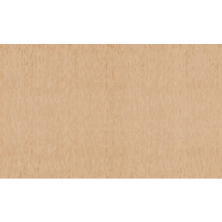 Шпалери Bravo вінілові на флізеліновій основі 81132BR22 (1,06х10,05м.) - Інтернет-магазин спільних покупок ToGether