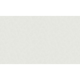 Шпалери MEGAPOLIS вінілові на флізеліновій основі 9104-00 (1,06х10,05м.) - Інтернет-магазин спільних покупок ToGether