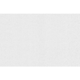 Шпалери Bravo вінілові на флізеліновій основі 81163ВR30 (1,06х10,05м.) - Інтернет-магазин спільних покупок ToGether