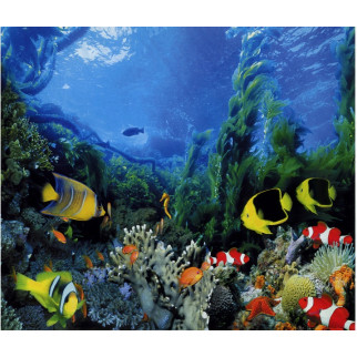 Фотошпалери Арт-Декор Підводне царство 201х242 - Інтернет-магазин спільних покупок ToGether