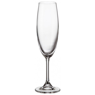 Набір бокалів Bohemia Sylvia (Klara) для шампанського 220 мл 6 шт 4S415/220 - Інтернет-магазин спільних покупок ToGether