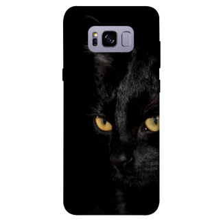 Чохол itsPrint Чорний кіт для Samsung G955 Galaxy S8 Plus - Інтернет-магазин спільних покупок ToGether