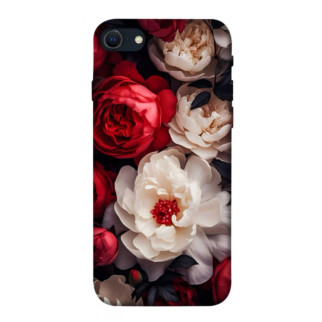 Чохол itsPrint Velvet roses для Apple iPhone SE (2020) - Інтернет-магазин спільних покупок ToGether