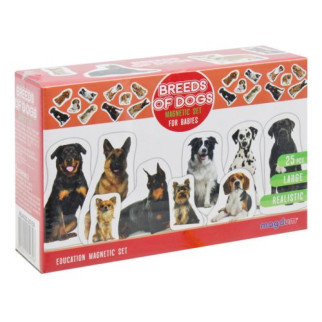 Набір магнітів "Породи собак" (25 шт) - Інтернет-магазин спільних покупок ToGether