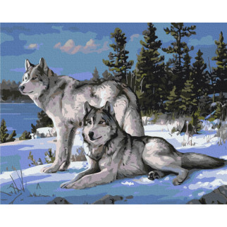 Вовки-захисники - Інтернет-магазин спільних покупок ToGether