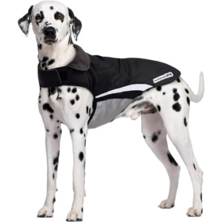 Водонепроникне пальто, куртка, плащ для собак Buddypuppy, розмір L - Інтернет-магазин спільних покупок ToGether