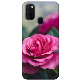 Чохол itsPrint Троянда у саду для Samsung Galaxy M30s / M21 - Інтернет-магазин спільних покупок ToGether