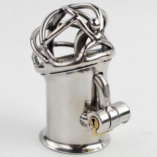 Stainless Steel PA Lock 6mm Glans Piercing Male Chastity Device Albert Piercing 18+ - Інтернет-магазин спільних покупок ToGether