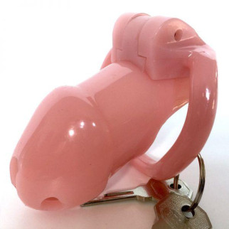 Пояс вірності рожевий Holy Trainer Chastity Device V2 ZC092 18+ - Інтернет-магазин спільних покупок ToGether