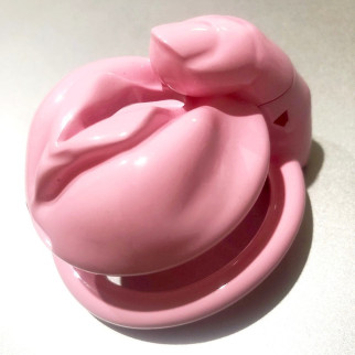 A-Latest Design Female Genital Male Chastity Device Pink 18+ - Інтернет-магазин спільних покупок ToGether