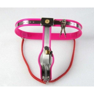 Female Adjustable Model-Y Stainless Steel Premium Chastity Belt Locking Cover Removable PINK 18+ - Інтернет-магазин спільних покупок ToGether