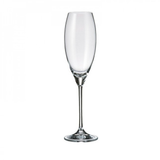 Набір келихів для шампанського Bohemia Carduelis b1SF06-409165 290 мл 6 шт прозорий - Інтернет-магазин спільних покупок ToGether