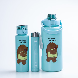 Багаторазова пляшка для води набір 3 в 1 Панда з напувалкою та ручкою 0.3(л) 0.7(л) 2(л) М'ятний - Інтернет-магазин спільних покупок ToGether