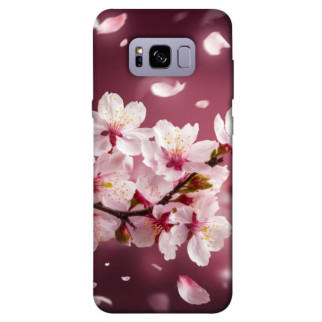 Чохол itsPrint Sakura для Samsung G955 Galaxy S8 Plus - Інтернет-магазин спільних покупок ToGether