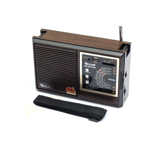 Радіоприймач GOLON RX-9933UAR  (дропшиппінг) - Інтернет-магазин спільних покупок ToGether