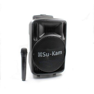 Активна акустична колонка Su-Kam BT 100D 1 мікрофон 12v\220v  (дропшиппінг) - Інтернет-магазин спільних покупок ToGether