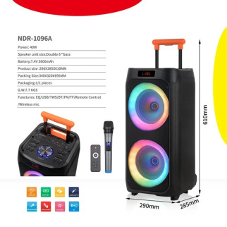 Портативна акустика NDR 1096A 8"  (дропшиппінг) - Інтернет-магазин спільних покупок ToGether
